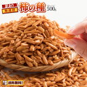 おつまみ 訳あり 柿の種 500g 送料無料 贅沢にお得に食べ放題！？ [ かきの種 カキノタネ 米菓 おかき 業務量 大容量 メガ盛り 訳アリ 割れあり かきのたね タネ おやつ とまらない ピリ辛 ] ポイント消化 【ポスト投函】