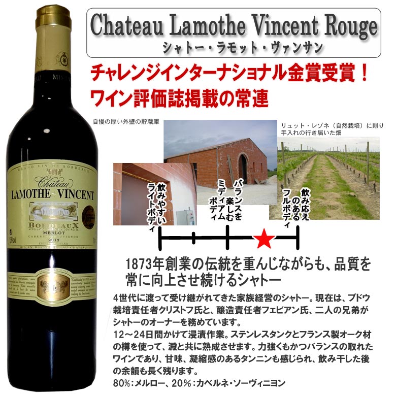 大人気品種メルロ飲み比べ!赤ワイン3本セット