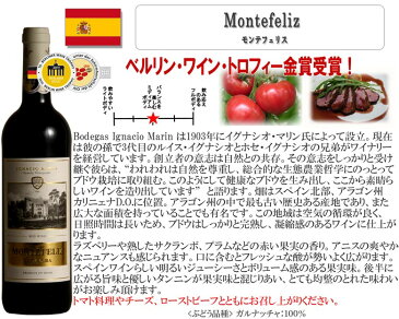 世界の金賞12本！全て金賞受賞！フランス・スペイン・イタリア飲み比べ12本セット！ 赤 ワイン セット　フルボディー 送料無料 r-41004　　ギフト　プレゼント　ワイン　金賞　赤ワイン　金賞　750ML　　あす楽