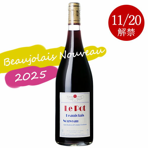 【入荷しました】ルイ