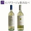 ピノグリージョ 2本セット ワイン セット wine ギフト 母の日 750ML