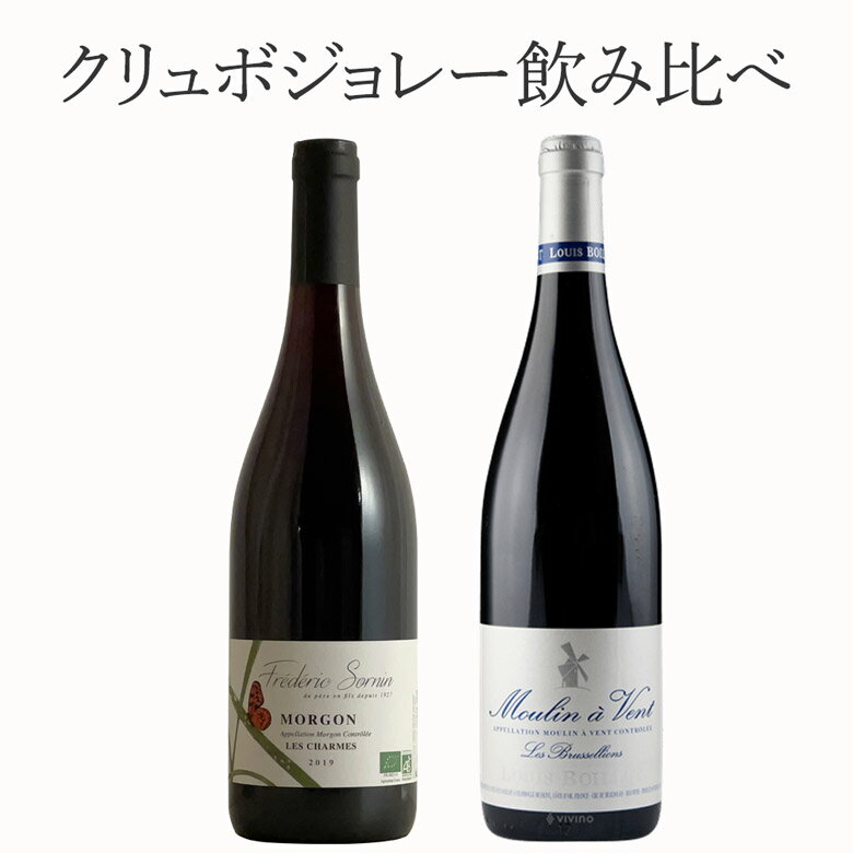 厳選 クリュボジョレー 2本セット ワイン セット wine ギフト 父の日 750ML