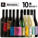 Because, ビコーズ 10本セット 飲み比べ 全タイプ楽しめる コンプリートセット ワイン セット wine ギフト 母の日 750ML