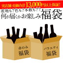 【福袋】 何が届くかお楽しみ！ 10,000円 福袋 ワイン セット wine