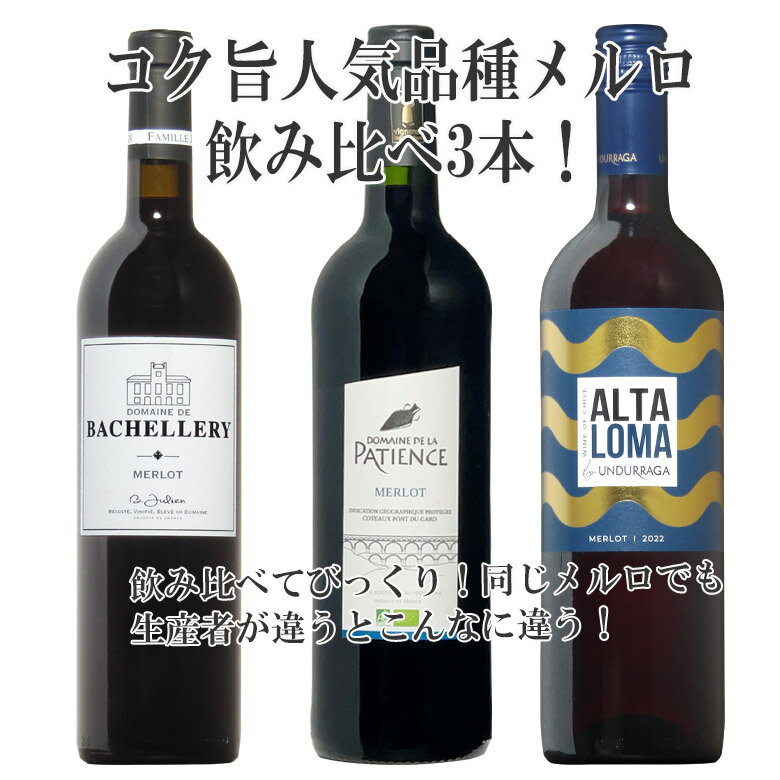 大人気品種メルロ飲み比べ!赤ワイン3本セット