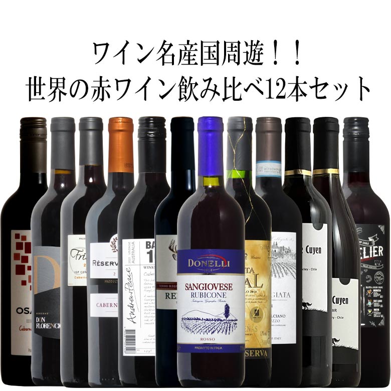 世界のよりすぐり赤 12本セット フランス イタリア オーストラリア などから厳選！税込1万円！送料無料 ワイン セット wine 赤ワイン ワインセット ギフト バレンタイン 750MLギフト