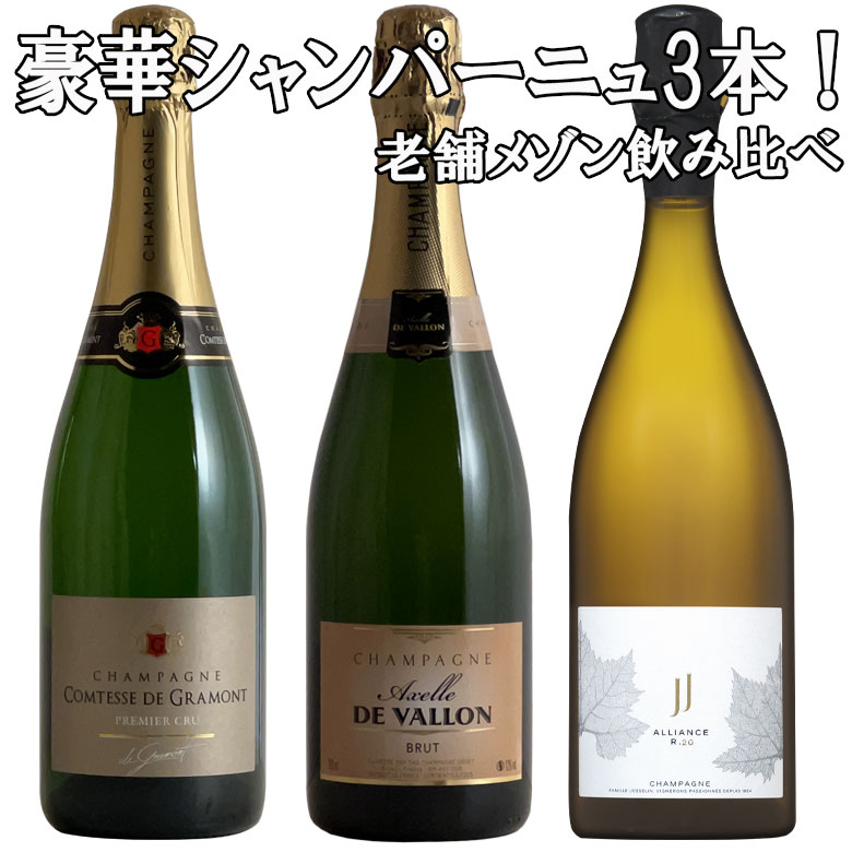 豪華シャンパーニュ3本飲み比べ！老舗メゾンがコスパを競い合う！7