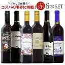 ソムリエ厳選赤ワイン6本飲み比べ 