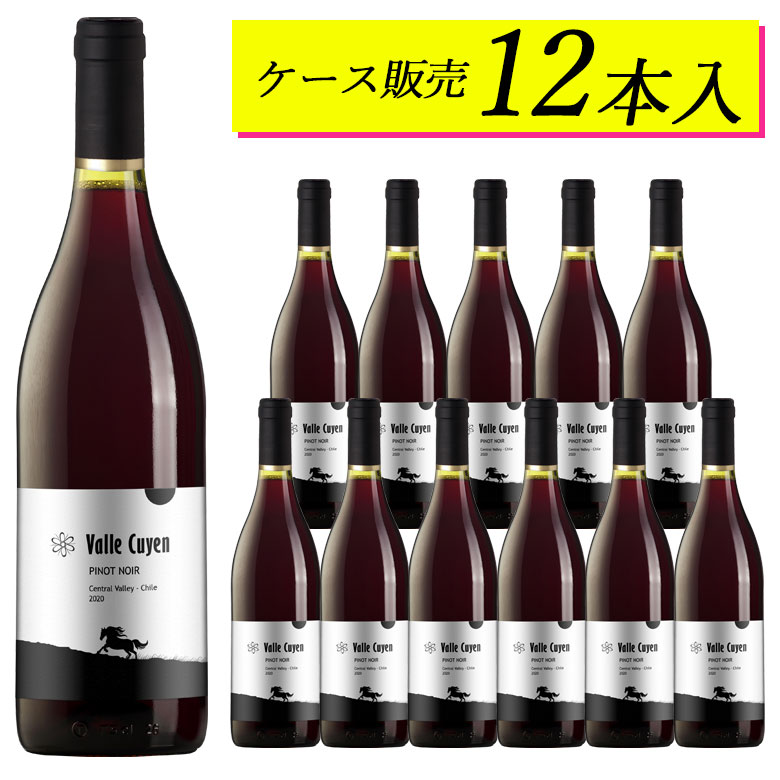 チリワイン 【ケース販売12本】ヴァイエ・クイエン ピノ・ノワール チリワイン【ヴィンテージは順次変わります】日本に届いた状態のカートンのままお届けしますギフト 父の日 750ML