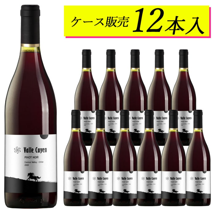 【ケース販売12本】ヴァイエ・クイエン ピノ・ノワール チリワイン【ヴィンテージは順次変わります】日本に届いた状態のカートンのままお届けしますギフト 敬老の日 750ML