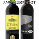 ワイン飲み比べセット ソムリエ厳選 金賞入り 赤ワイン飲み比べ 2本セット　ギフト ホワイトデー　ワイン　赤ワイン　750ML