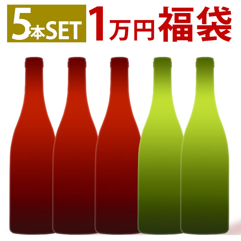 ACブルゴーニュ1万円福袋！5本セット ワインセット 送料無料 フランス ブルゴーニュ 赤ワイン 白ワイン ミディアムボディ 辛口 ギフト 御歳暮 750ML おすすめ