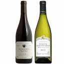 フランスワイン ブルゴーニュシャルドネ・ピノノワール2本セット　フランス ブルゴーニュ 白 赤 ワイン セット wine ギフト 母の日 750ML