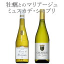 ミネラル飲み比べ 2本セット！ ミュ