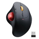 ProtoArc トラックボールマウス Bluetooth/2.4GHz両対応 3台同時接続 無線 マウス トラックボール 静音 親指 Type-C充電式 大容量バッテリー内蔵 5段階DPI調節可能 進む/戻るボタン搭載 Windows/Mac/iOS/Andr