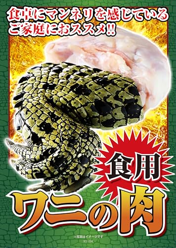 ʥѥ  å ñ  硼 Ͽ ѥͥ ˺ǯ ǯ 뺧 󼡲 ӥ  