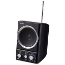 ELPA(エルパ) AM/FMスピーカーラジオ テレビにつなぐと手元で聴ける ER-SP39F