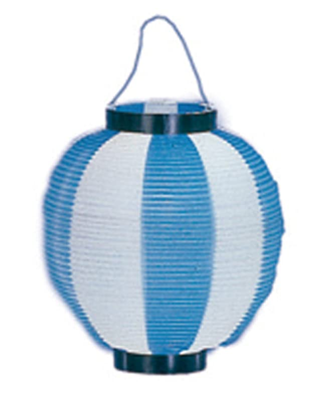 ݥꥨ  祵 ġȥ󥫥顼10ĥå ľ22cm ⤵25cm(/)