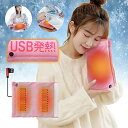 ホットマット ミニ 一人用 洗える USB 充電式【多機能】 電気ゆたんぽ・電気マット・電気あんか・発熱座布団 30秒急速発熱 3段階温度調節 肌触りのいい かわいい 折りたたみ 携帯可能 省エ