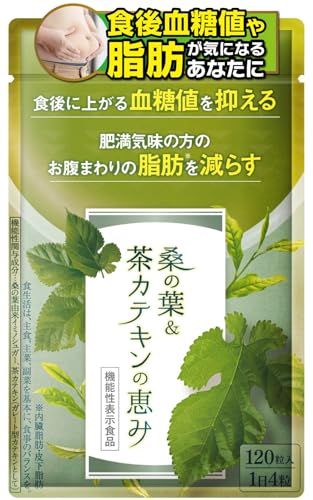 和漢の森 桑の葉＆茶カテキンの恵み 1袋 120粒 血糖値上昇を抑える 機能性表示食品 薬剤師監修  ...