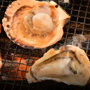 海鮮 バーベキュー セット 貝 ホタテ10枚 国産 牡蠣 10個 2種セット BBQ(4)