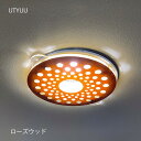 ダウンライトキャップ LEDライト専用 ダウンライト 装飾 照明 LED ライト 電飾 デコレーション 取付 リフォーム 店舗 マンション 飾り付け デコレーション 玄関 飾り付ける UTYUU dlc-0016