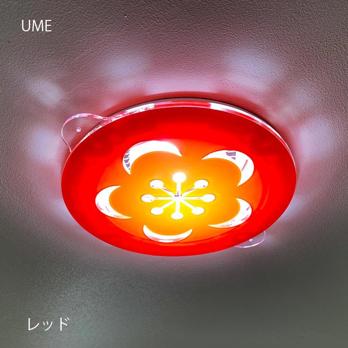 ネコポス送料無料 ダウンライト キャップ UME（LEDライト専用）　dlc-0025