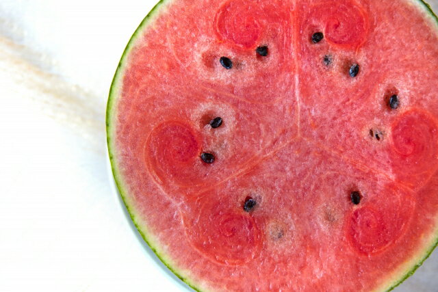 三浦すいか　ピノガール（小玉2個入）5kg　発送は6月下旬から7月中旬【神奈川県三浦産】【ギフト】【お中元】【人気】のサムネイル