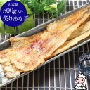 珍味 おつまみ 乾き物 お徳用【 大容量500gサイズ 】炙...