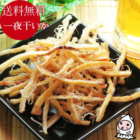 珍味 おつまみ 乾き物【 ゆうパケ送料無料 】一夜干いか 100g 1000円ポッキリ 一夜干し するめさき さきいか いかさき スルメ あたりめ 烏賊 おつまみ おやつ 珍味ぽっきり