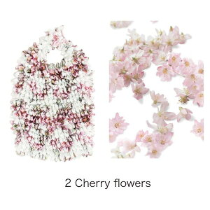 HAM−15絞りバッグ　Cherry flowers