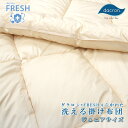 インビスタ ダクロン(R) FRESH 4穴 中わた 洗える掛け布団 ジュニアサイズ 135×185cm 【2303639】(ダニやホコリが通りにくい布団 喘息 ぜんそく 防ダニ 子どものアレルギー対策に ダクロン 掛布団)