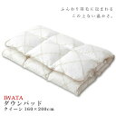 京都イワタ 羽毛 敷きパッド ダウンパッド クイーンサイズ 日本製 岩田 IWATA キャメル敷きパット キャメル 吸湿 放湿