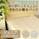 オーガニックコットン 敷きパッド ジュニア 90×190cm キッズ 綿100% コットン パイル タオル ショートパイル 天竺 ニット 無地 ナチュラル 北欧...