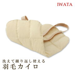 https://thumbnail.image.rakuten.co.jp/@0_mall/nisikawa-futon-wataya/cabinet/umou/3167top.jpg