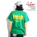 NbN} COOKMAN T-shirts Fresh -GREEN- 231-31092g Y TVc  AJ C Xg[g