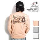 GhXT}[ The Endless Summer TES 4BUHI RESORT SWEAT CREW NECK fh-24374322 Y XEFbg g[i[ N[lbN  Xg[g