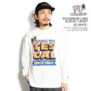 GhXT}[ The Endless Summer TES SOUVENIOR LONG SLEEVE T-SHIRT -92 WHITE- fh-24374319b Y TVc  T  Xg[g