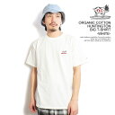 GhXT}[ The Endless Summer TES ORGANIC COTTON HUNTINGTON BIG T-SHIRT -WHITE- fh-24574307w Y TVc  TES I[KjbNRbg  Xg[g