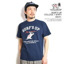 GhXT}[ The Endless Summer SURF'S UP COLLEGE T-SHIRT -NAVY- fh-24574316n Y TVc  TES USRbg  Xg[g