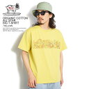 GhXT}[ The Endless Summer TES ORGANIC COTTON ALL STAR BIG T-SHIRT -YELLOW- fh-2574344y Y fB[X TVc   Xg[g