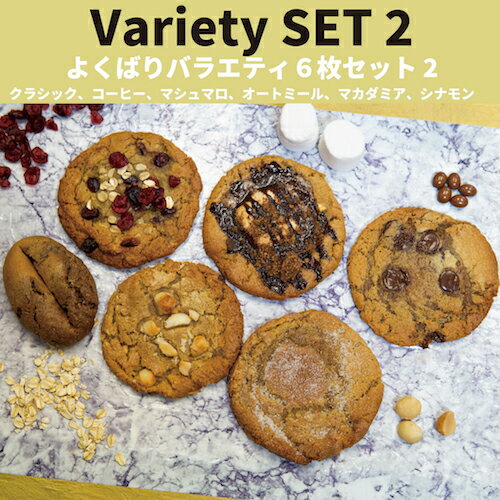 焼きたてアメリカンクッキー　バラエティ6枚セット2　焼き菓子　お菓子　ギフト　プレゼント　スイーツ　本場アメリカの味　東京スイーツ　　東京ギフト　個包装　送料無料
