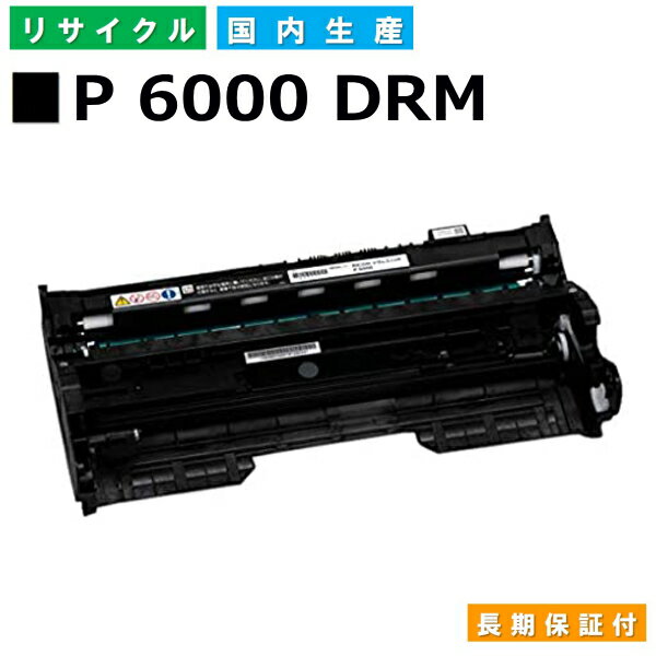 R[ RICOH hJ[gbW SP hjbg P 6000 (SP 6000 DRM) YTCNh RICOH P 6030 P 6030LE P 6020 P 6020LE P 6010 P 6010LE P 6000 P 6000LE yi Đgi[z