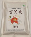 【コシヒカリ】茨城県産　【常陸のコシヒカリ） とベトナム蓮の葉茶50gr組合わせセット　JAS有機栽培　標準白米　5キロパック　［本州送料無料］