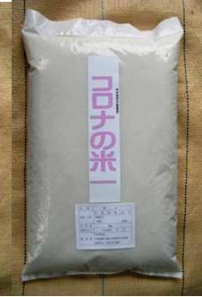 お米　北海道産　【ゆめぴりか】　（コロナの米） 白米　10kg　新米は10月より 【代引不可】送料無料