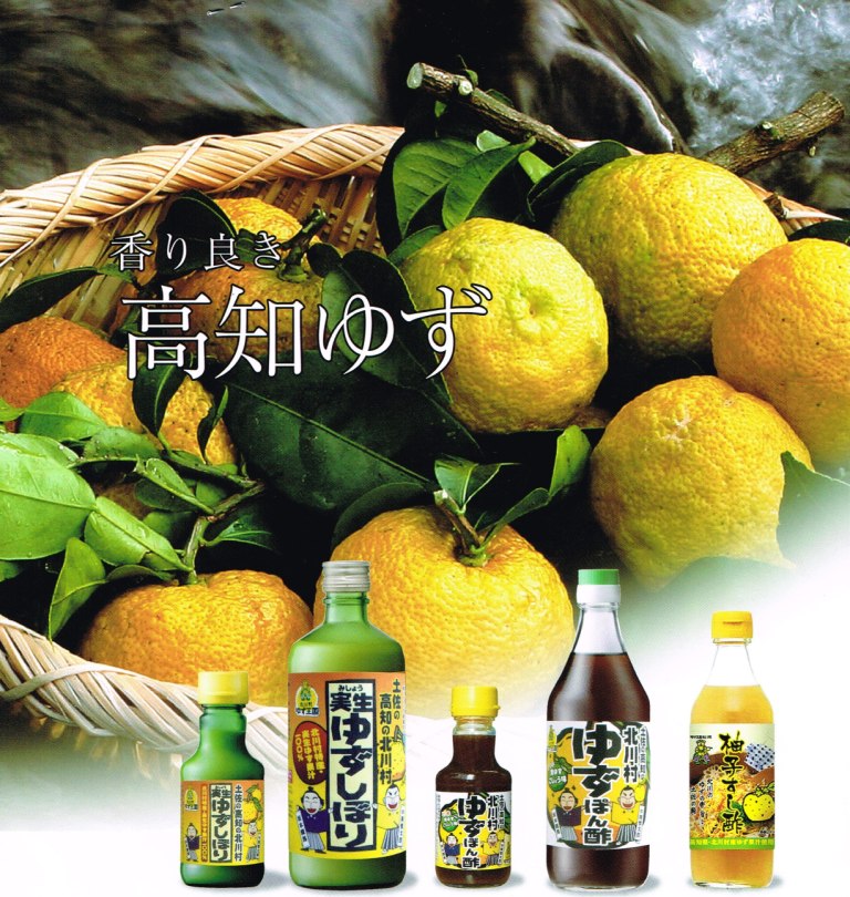 四国名産【旨塩ぽん酢】 110ml × 24本入り お徳用 高知県北川村ゆず王国 　【代引不可】