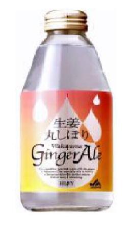 【ジンジャーエール】和歌山県産【生姜丸しぼり】家庭用【和歌山ジンジャーエール】Gingerale　（250ccx24本入り箱）和歌山の誇り、優しい紀の川の香りを届ける生姜ジンジャー　【送料無料】（直送品につき代引きはご容赦願います。