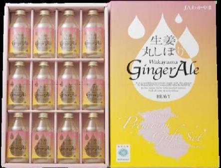 【ジンジャーエール】和歌山県産【生姜丸しぼり】贈答用【和歌山ジンジャーエール】Gingeraleプラチナギフトセット　（250ccx12本化粧箱入り）和歌山の誇り、優しい紀の川の香りを届ける生姜ジンジャー