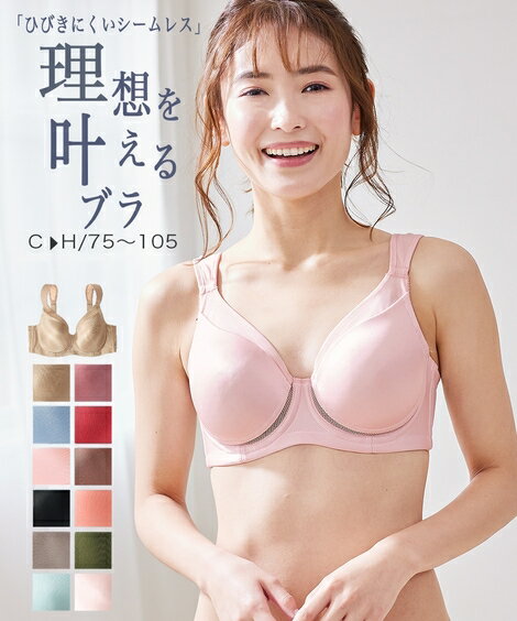 ブラジャー 大きいサイズ ワイヤー入り レディース シームレス ひびかない シンプル モールド ムレにくい 吸汗速乾 延長ホック付 黒 ベージュ F85/F90/F95/F100/F105/G85/G90/G95/G100/G105/H8…