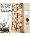 1cmピッチ薄型大容量文庫本ラック 幅60cm ラック ニッセン nissen